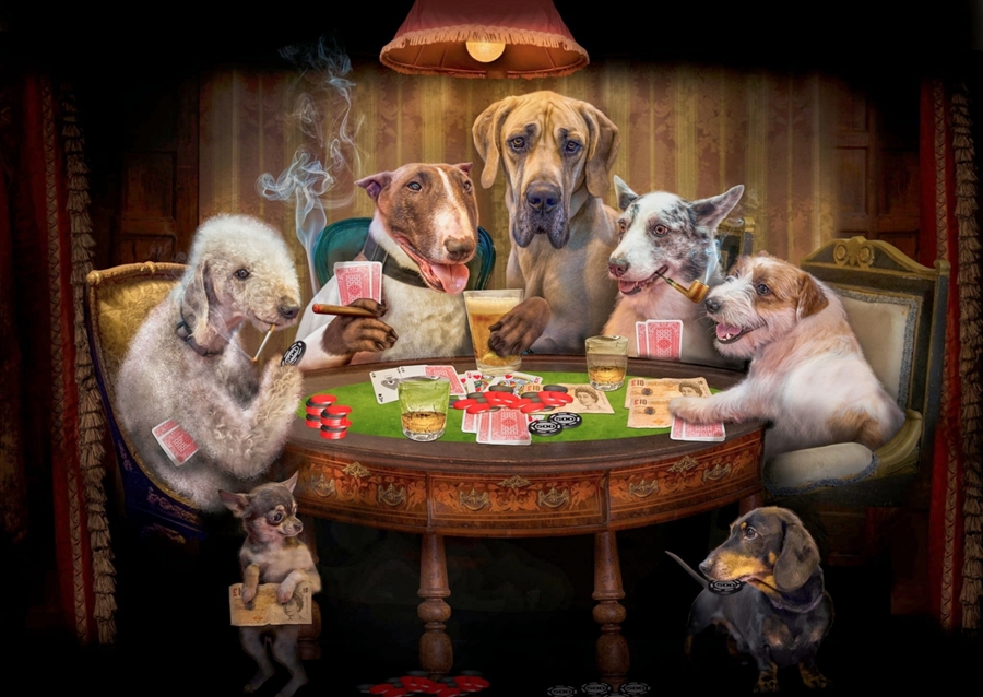 Funny Dog Playing Poker