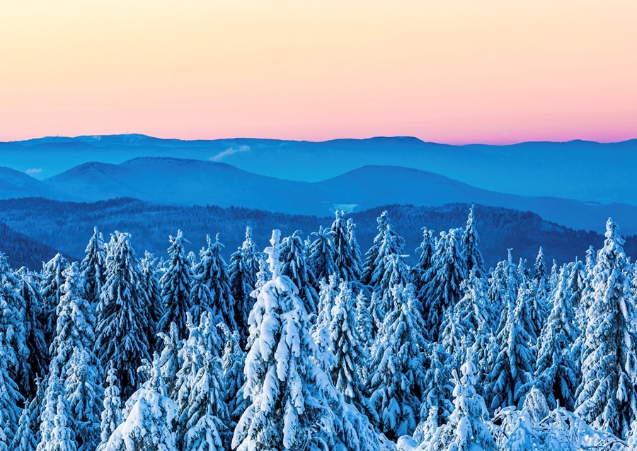 Winter in the Black Forest
