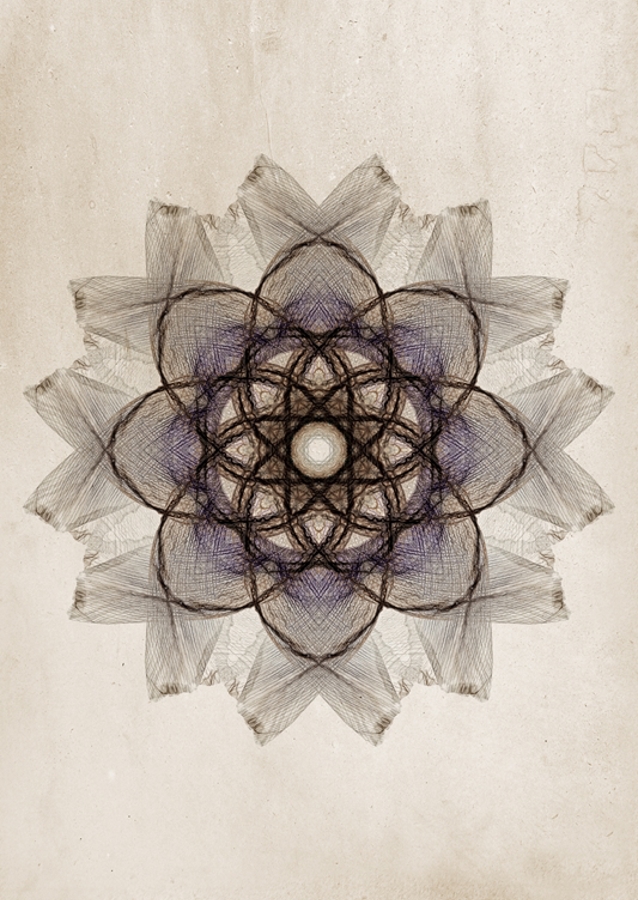 Flower petals mandala