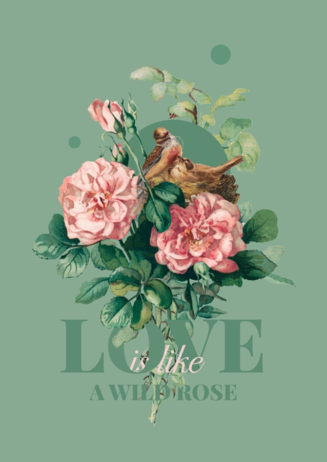 Love is like a wild rose