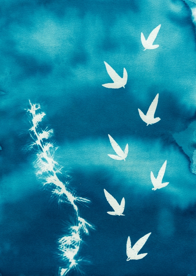 Zimní nohy tučňáka