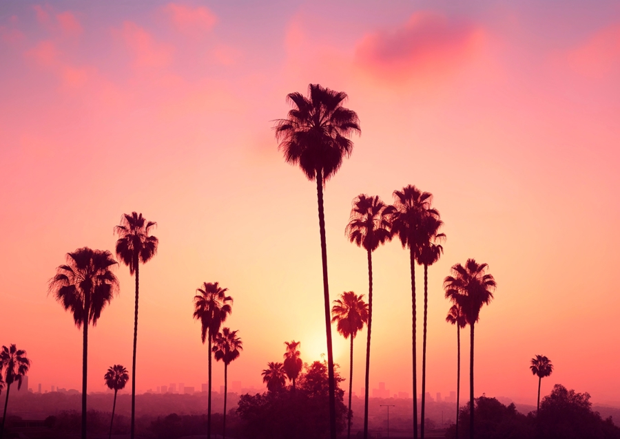 Lumières de Los Angeles