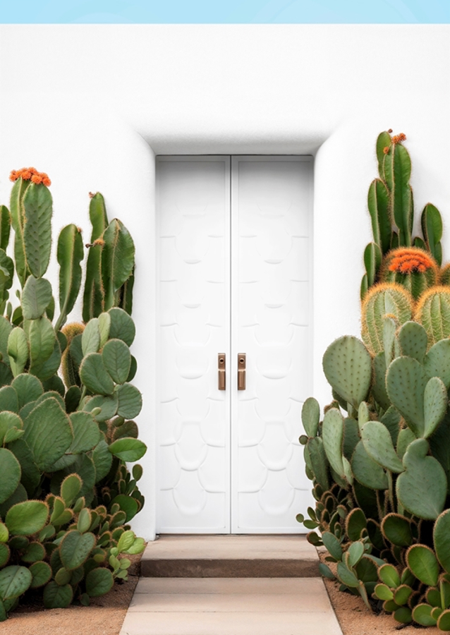 Hvidhed Palm Springs Dør