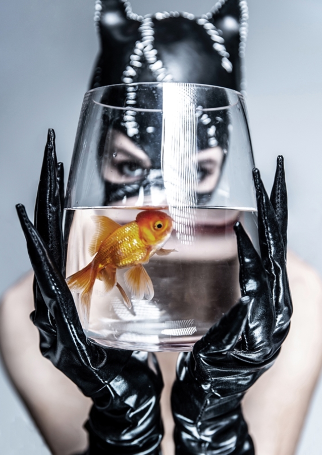 Catwoman, guldfisk i problemer.
