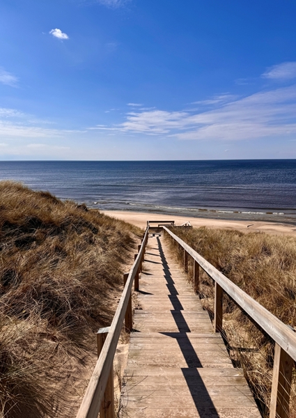 Poster: Trappor till stranden - Katja Schimansky