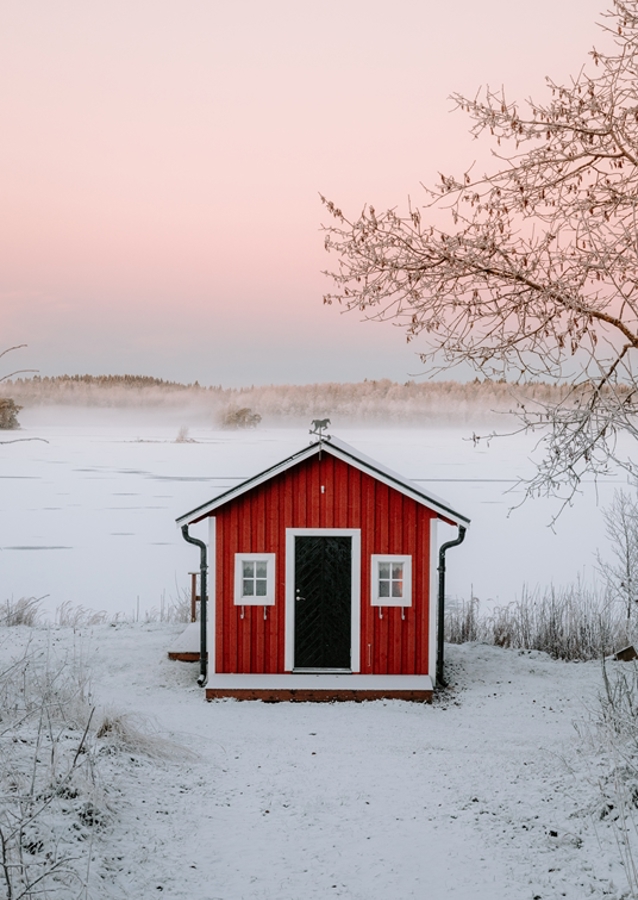 Červená loděnice v zimní krajině