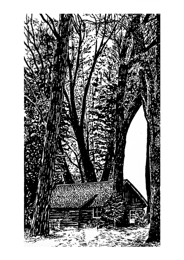 A Glimpse of Tranquility