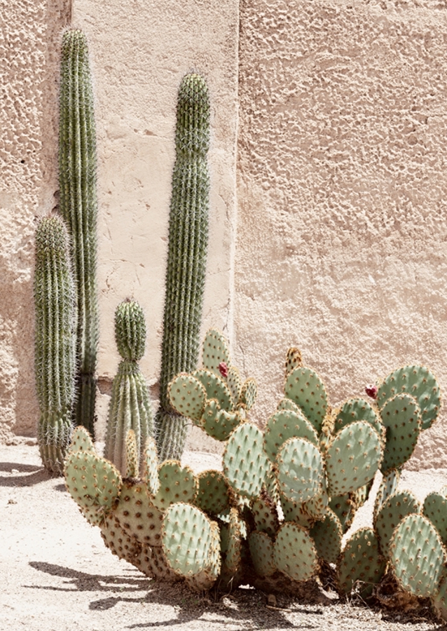 Pastel Wall Cactus