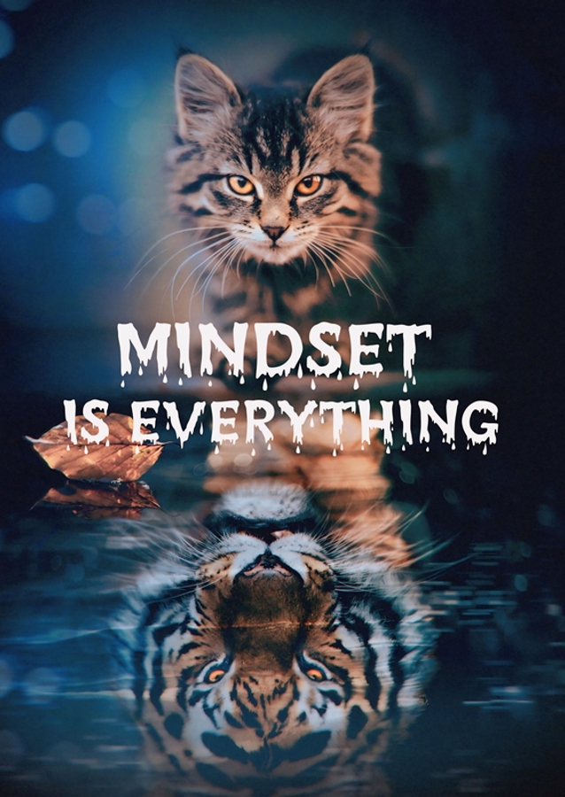 Tiger- und Katzen-Mentalität