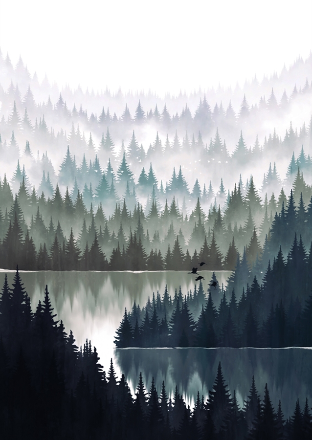 Het Bos van de pijnboom