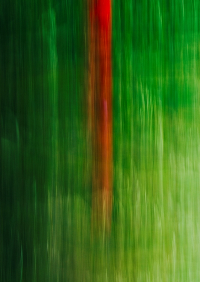 NASTĚHUJTE SE V ROT-GRÜN