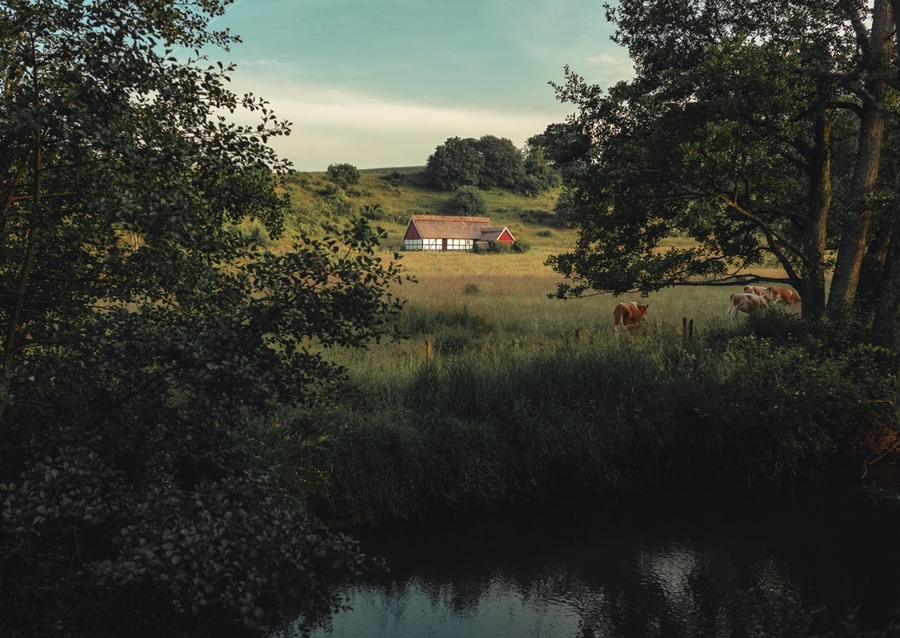 Österlen Lindgren's Lengga