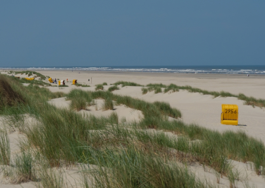 Gul strandstol i klitterne