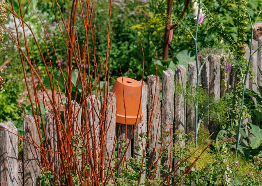 Dřevěný plot na zahradě chalupy