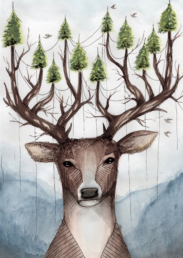 Deer with antlers