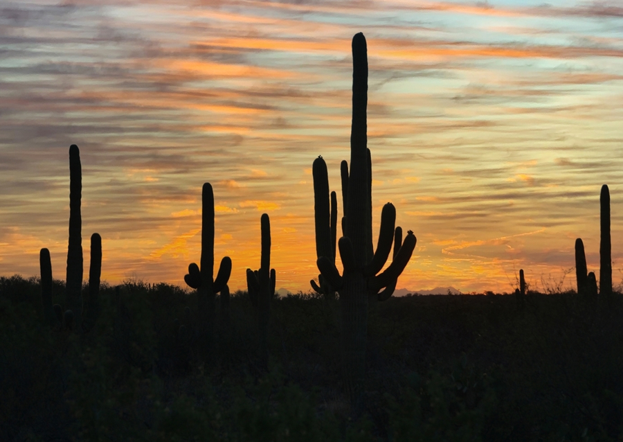 Solnedgang i ørkenen.
