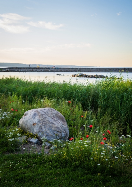 Poster: Österlen - Andreas Carlmalm