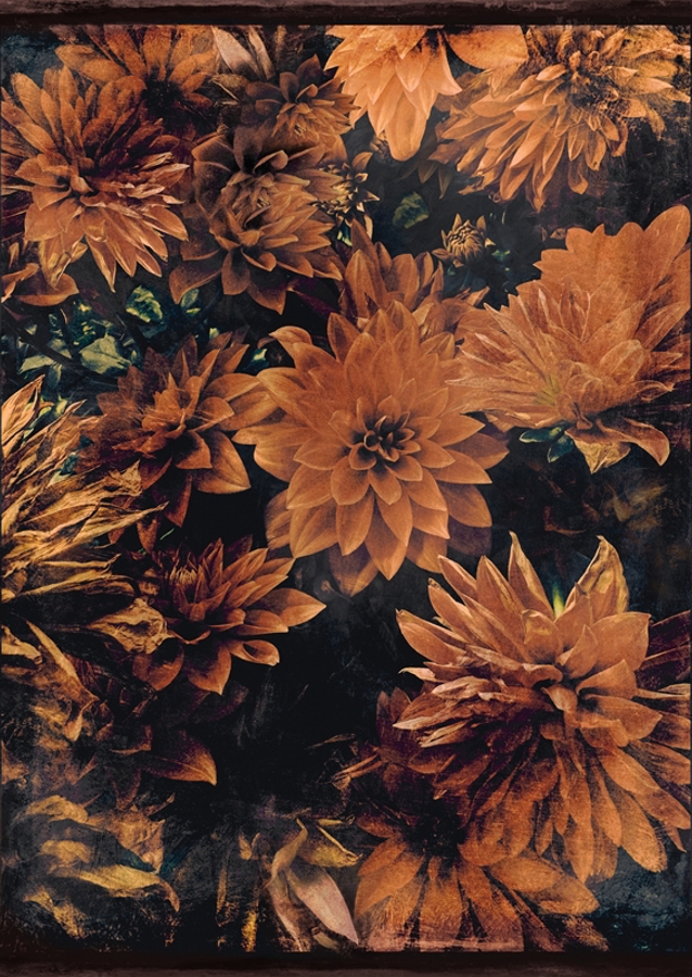 České podzimní květiny