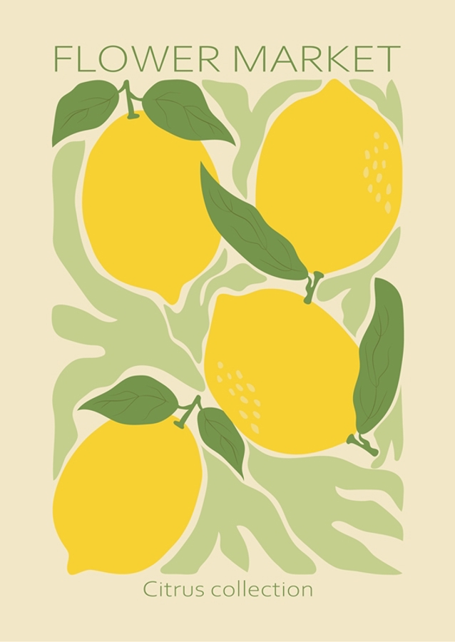 Lemons - Flower Market