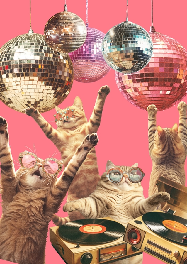 Kočičí diskotéka