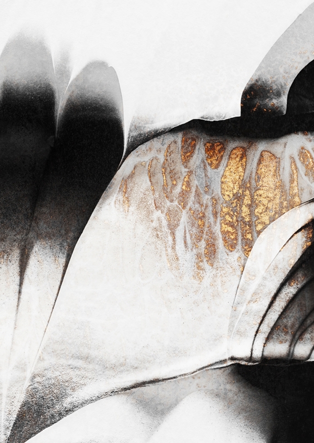 Zlaté žíly #2231928