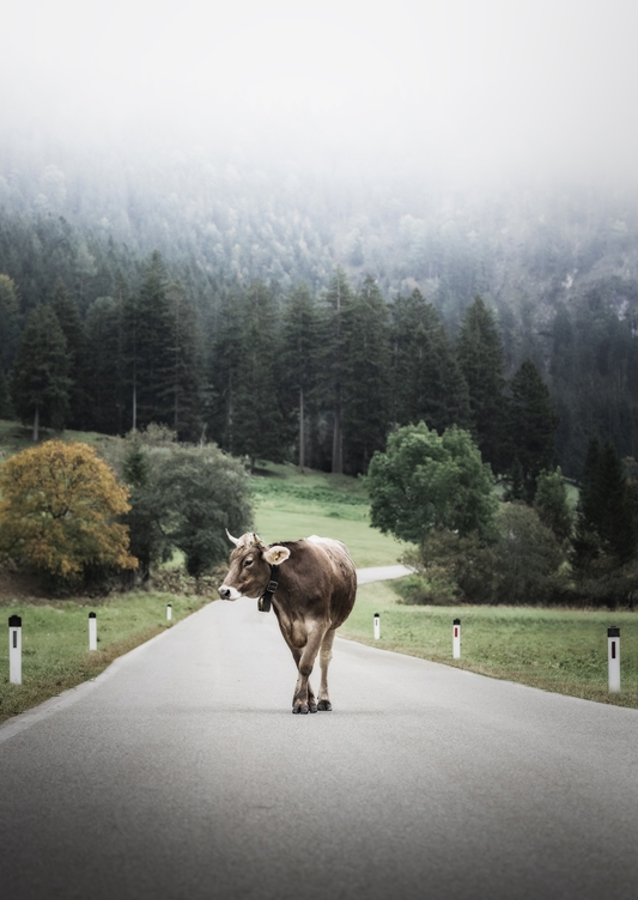 Alone in the wide open spaces