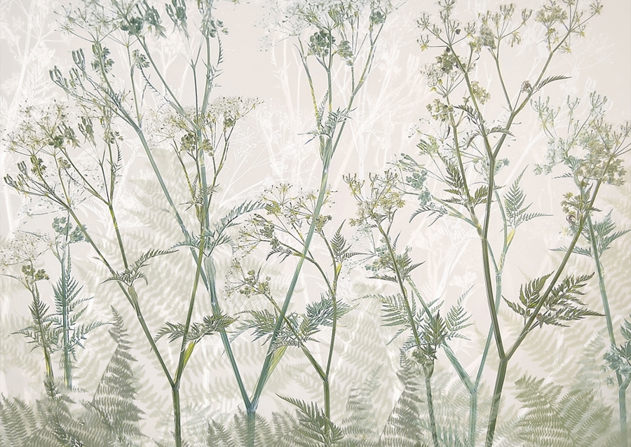 Ko persille #2301877