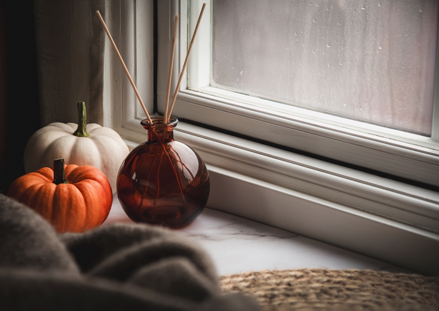 Pumpkins on the Windowsill
