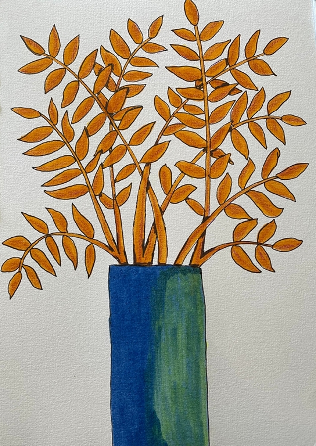 Zamiakalla in orange