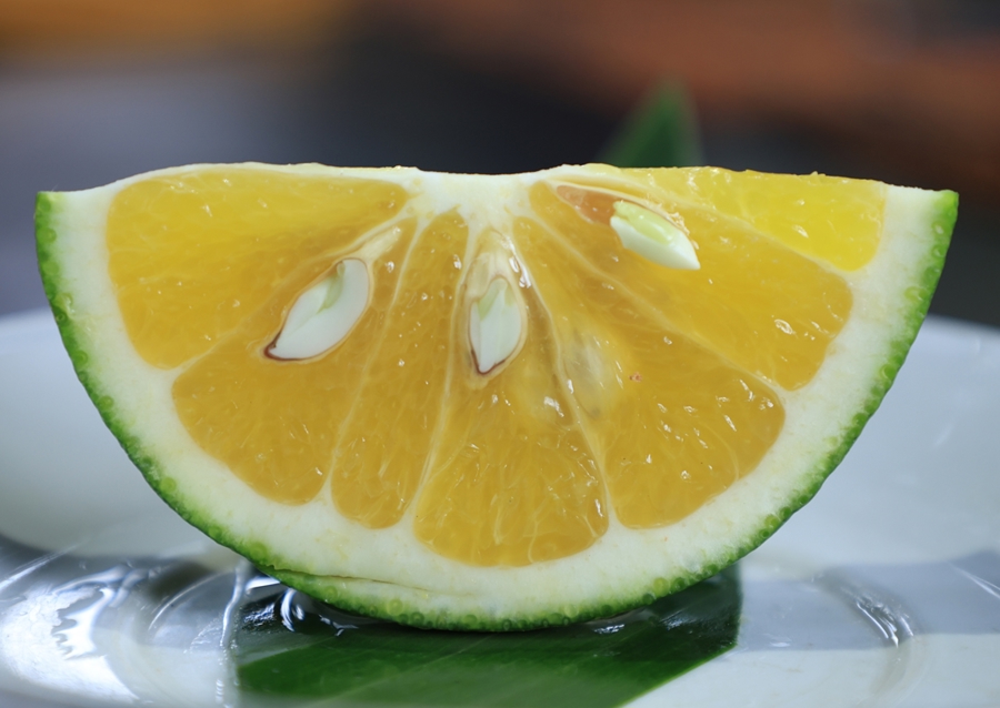 Świeże orzeźwiające pomarańcze