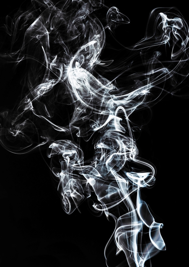 Konská horúčka - čierna edícia