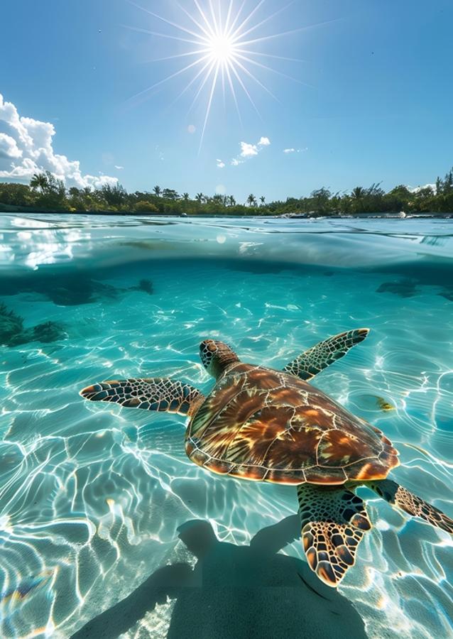 Magical Ocean Turtle