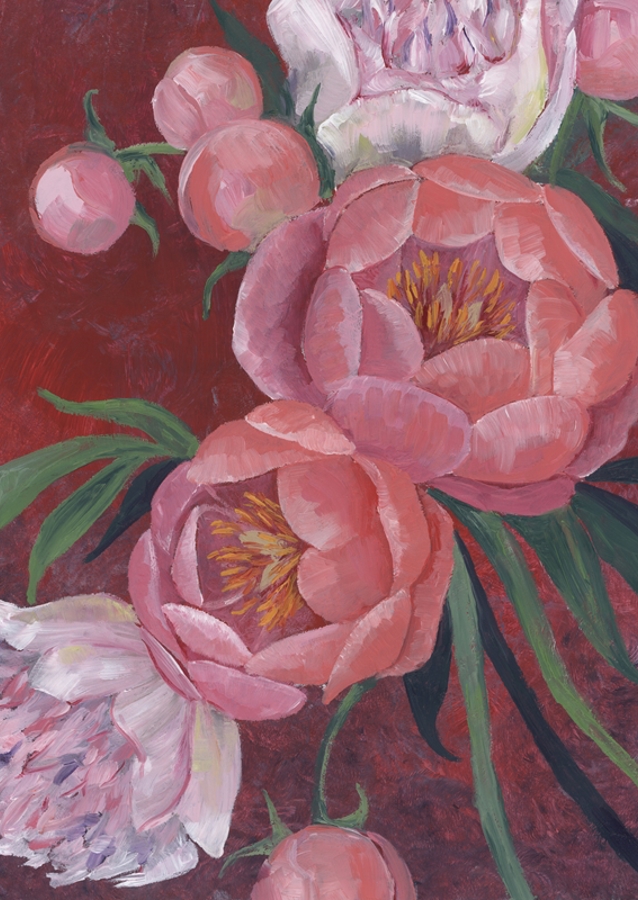 Pivoňka kvete Artistry