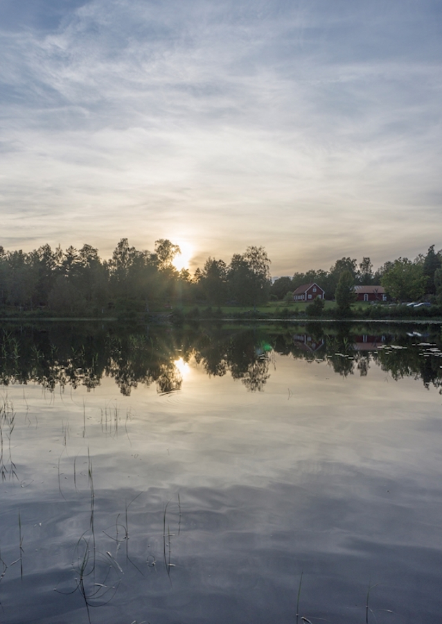 Reflektion