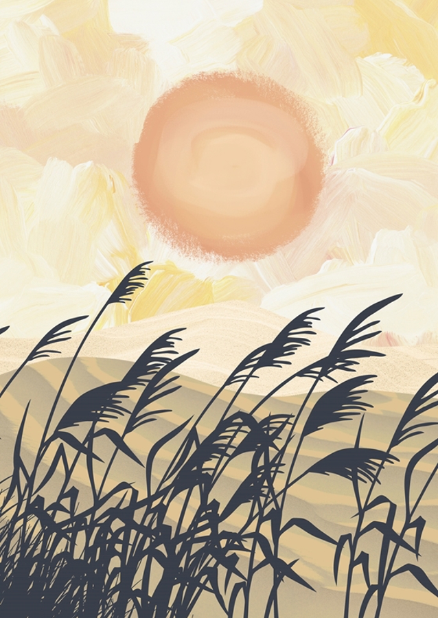 Sunlit Serenity Canvas