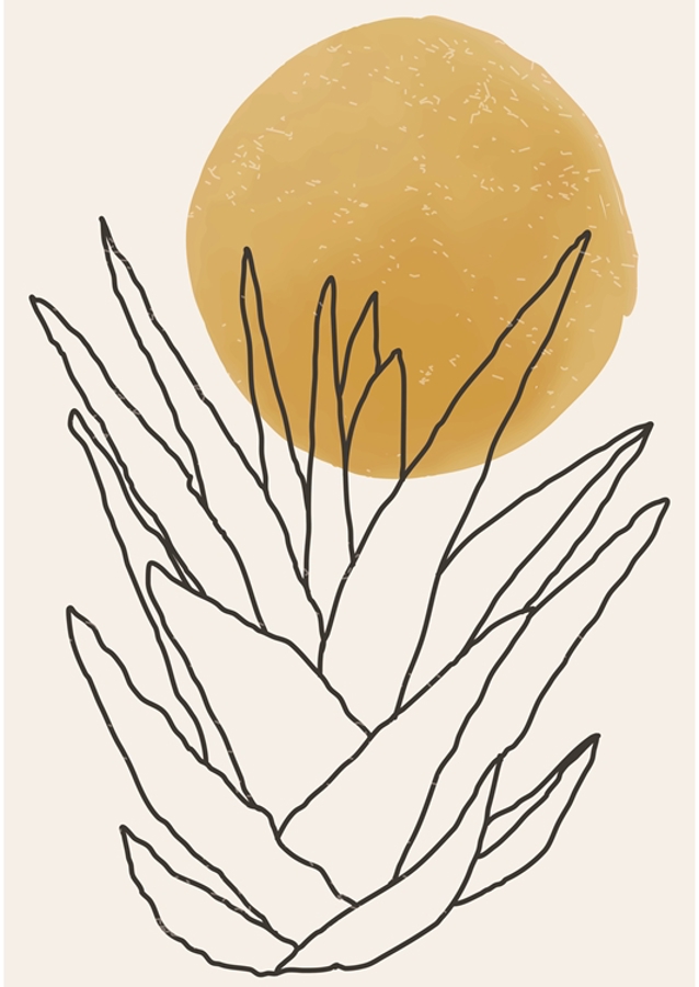 Aloe & Sonne Harmonie