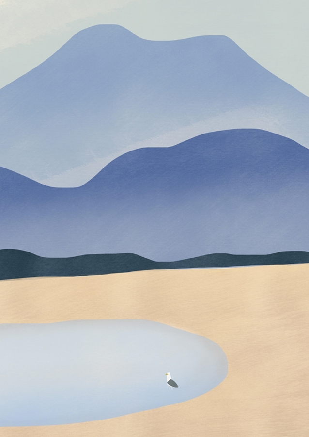 Desert Mountain View