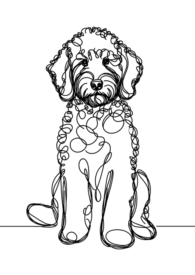 Labradoodle Dog Line Art 