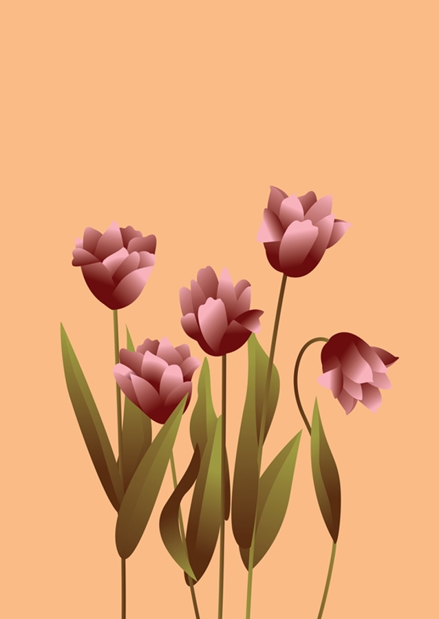 Tulipaner i varme toner