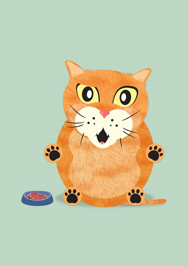 Eddie - den sultne kat