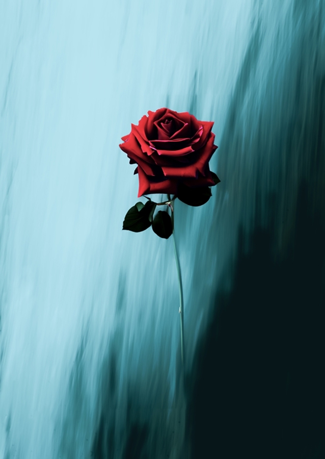 Amore profondo - Rosa astratta 