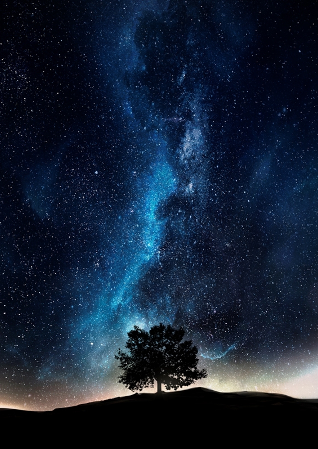 Cosmic night tree