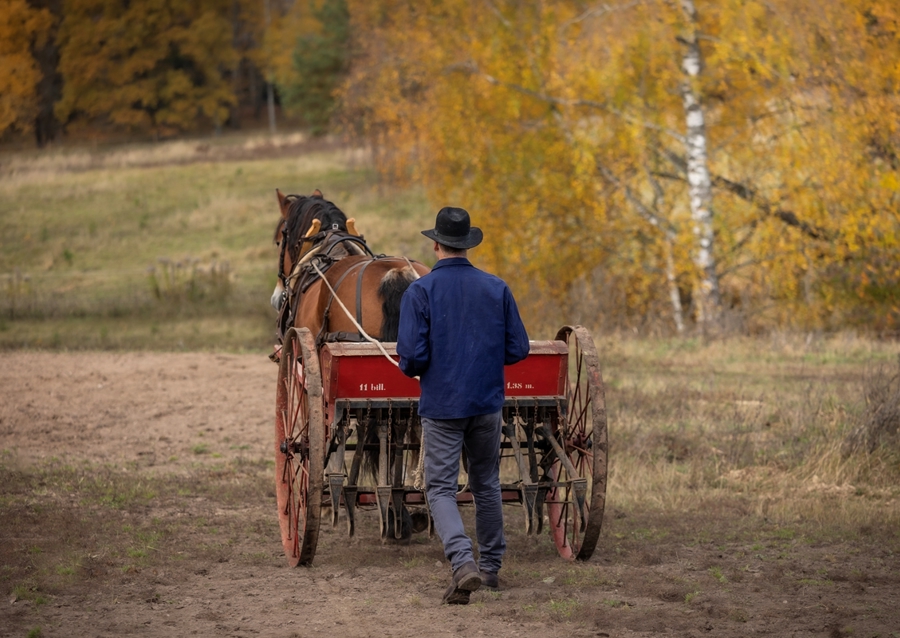 Semina con i cavalli 