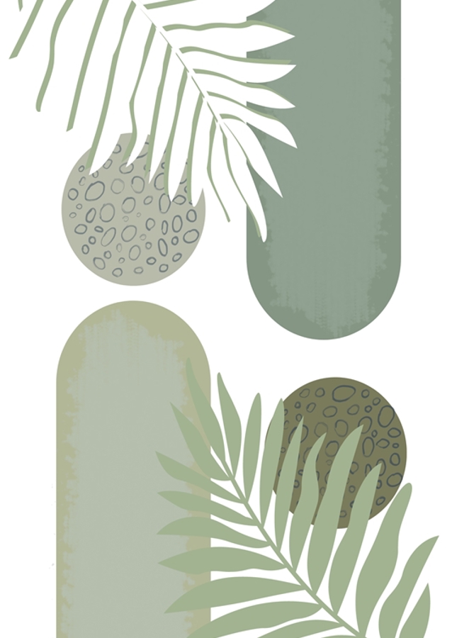 Harmonie tropických listů