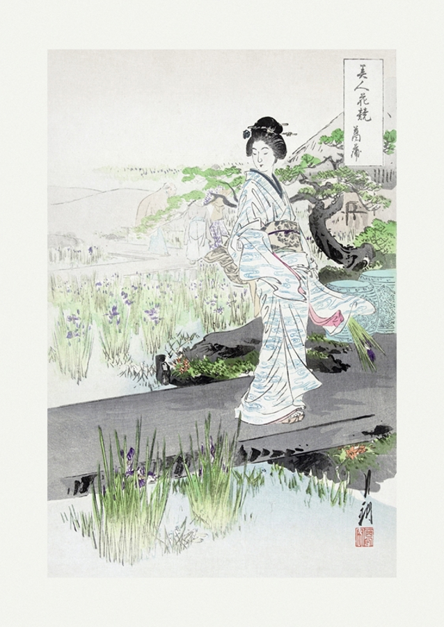 Tranquil Stroll Scene