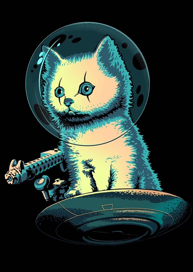 Galactic Kitty Pilot