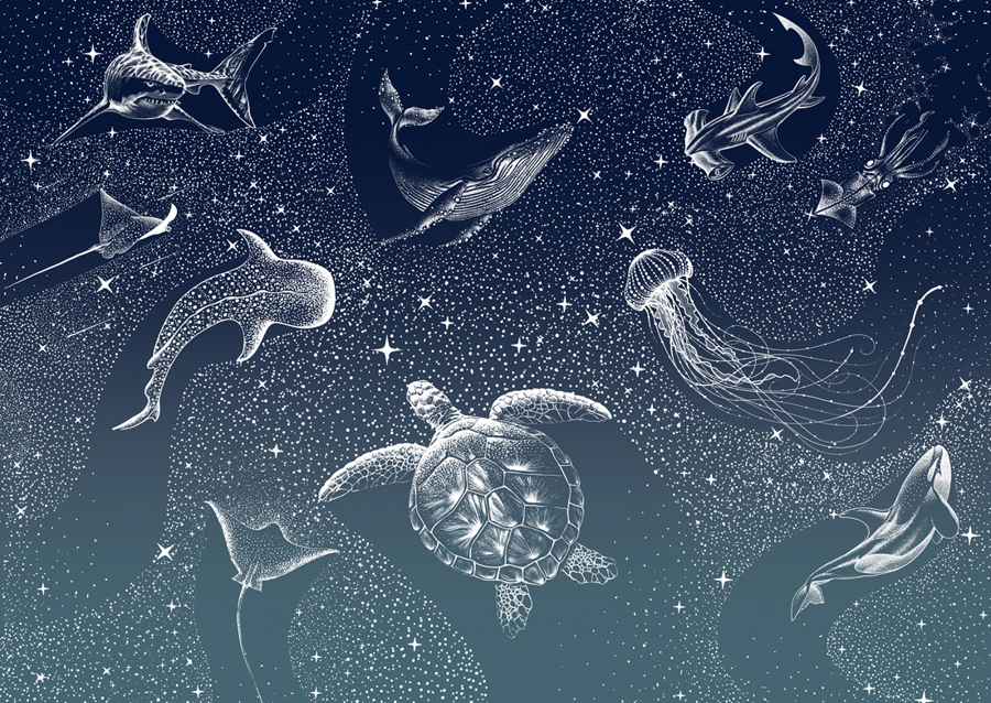 Ocean Stardust Dream