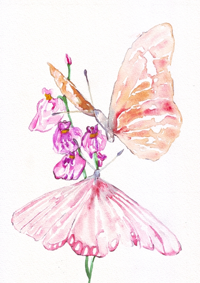 Two Butterflies On Flowers