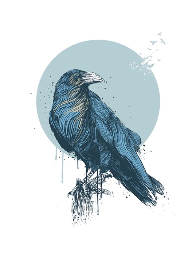 Le regard calme du corbeau