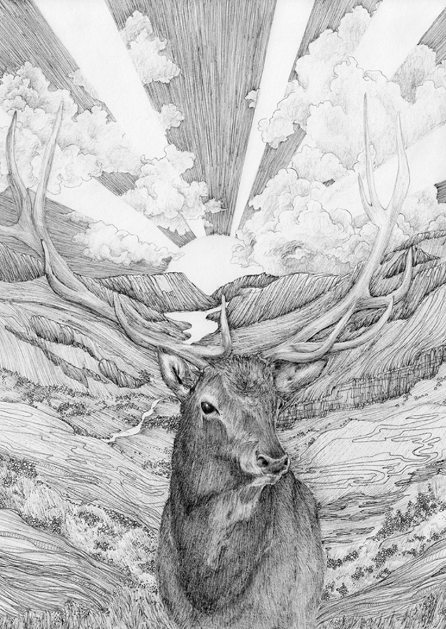 Majestætisk Daggry Hjort